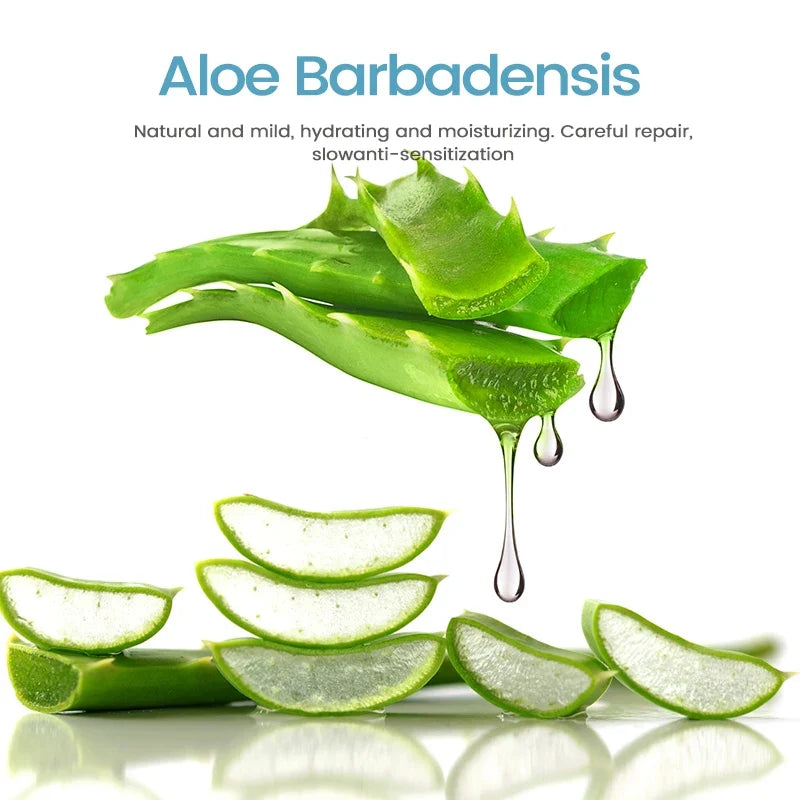 Aloe Barbadensis with droplets on a white background